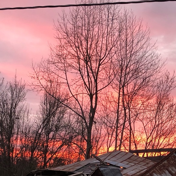 Meet your Posher, Miranda - Picture 1 of 1